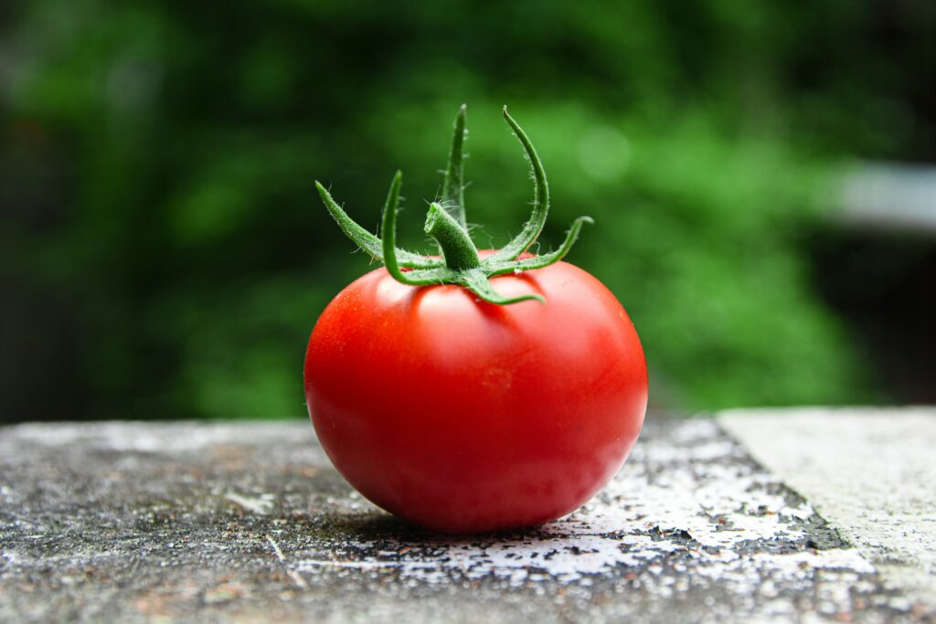 Foto: unsplash.com